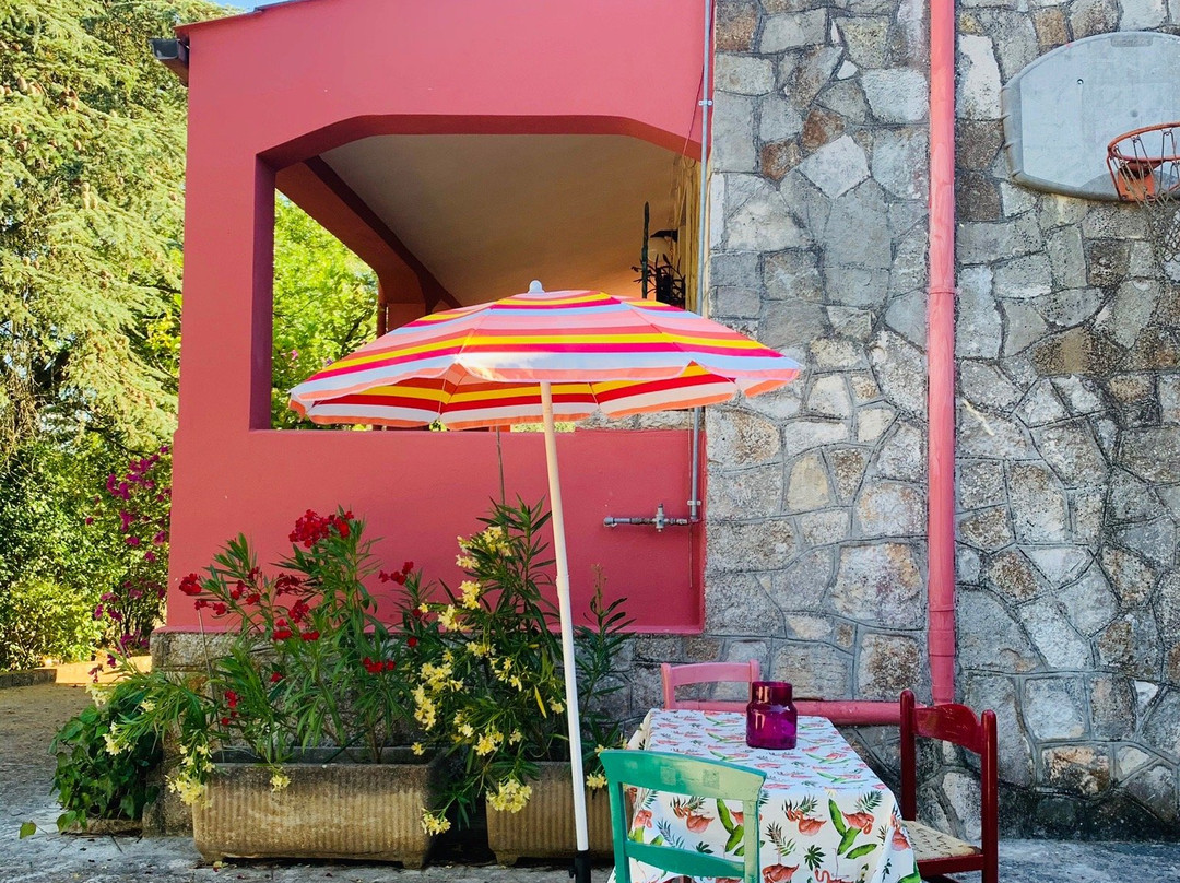 Villa Dan Casa Vacanze主图