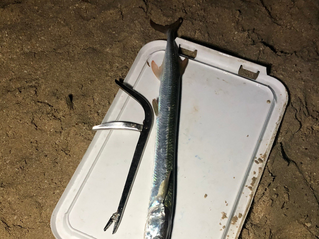 Simaisma Beach-多哈必去景点