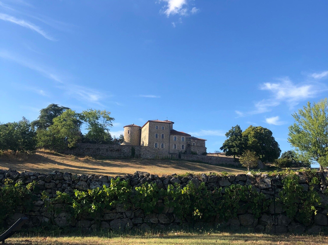 Château du Besset主图