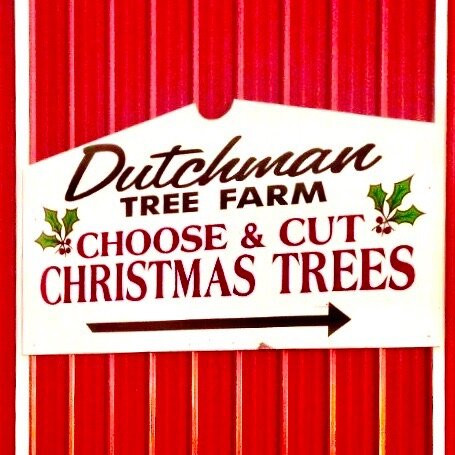 Dutchman Tree Farm景点图片