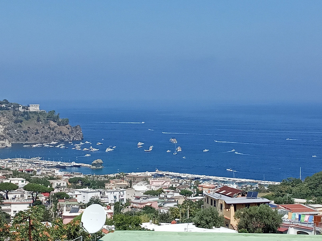 Hotel Villa Sirena主图