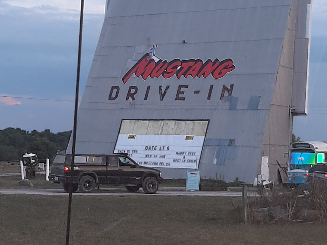 Mustang Drive-In (PEC)景点图片
