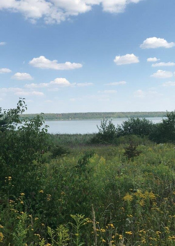 Haselbacher See-Meuselwitz必去景点