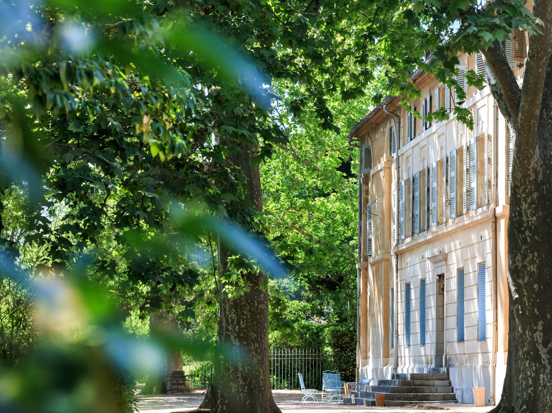 Chateau De Saint-Martin景点图片