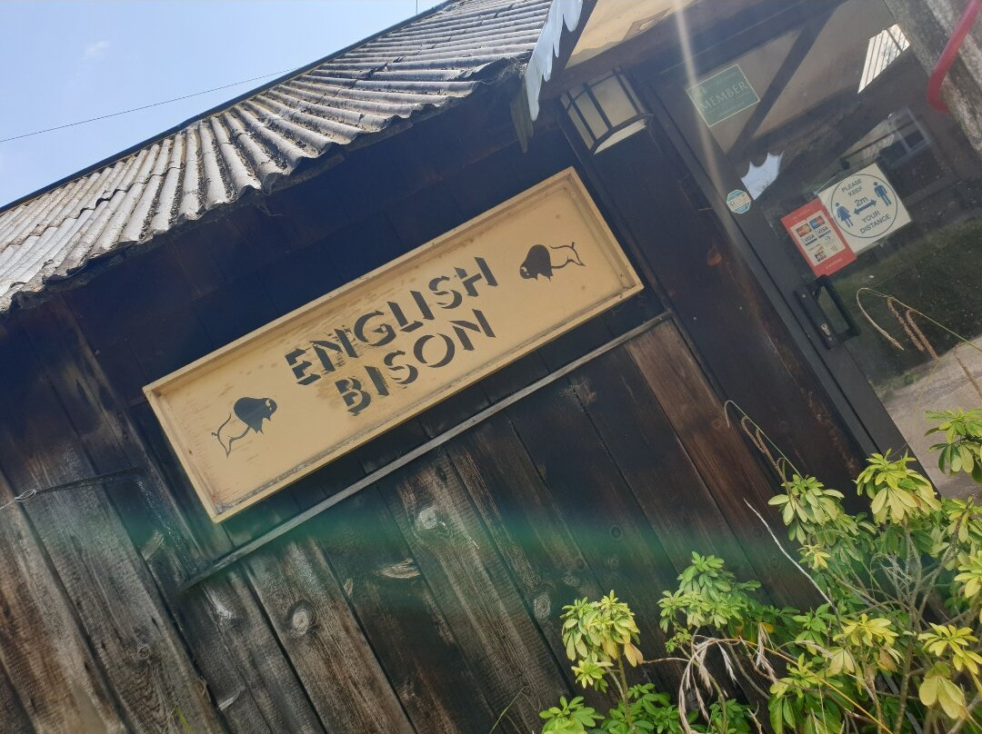 Bush Farm Bison Centre-沃敏斯特必去景点