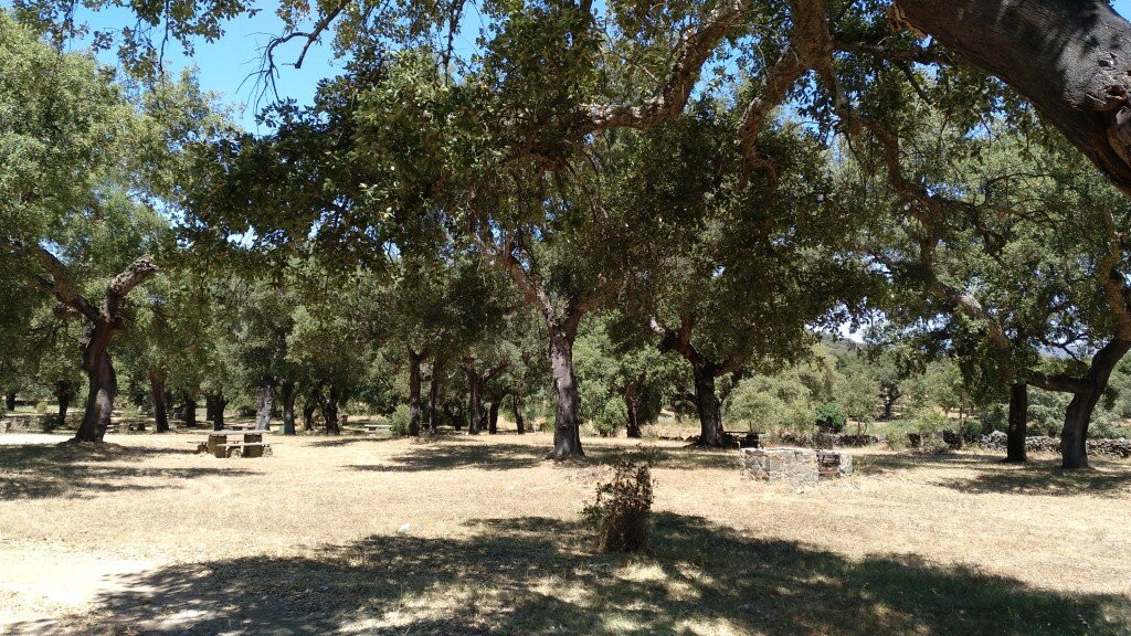 Área recreativa de la Dehesa Tres Encinas景点图片