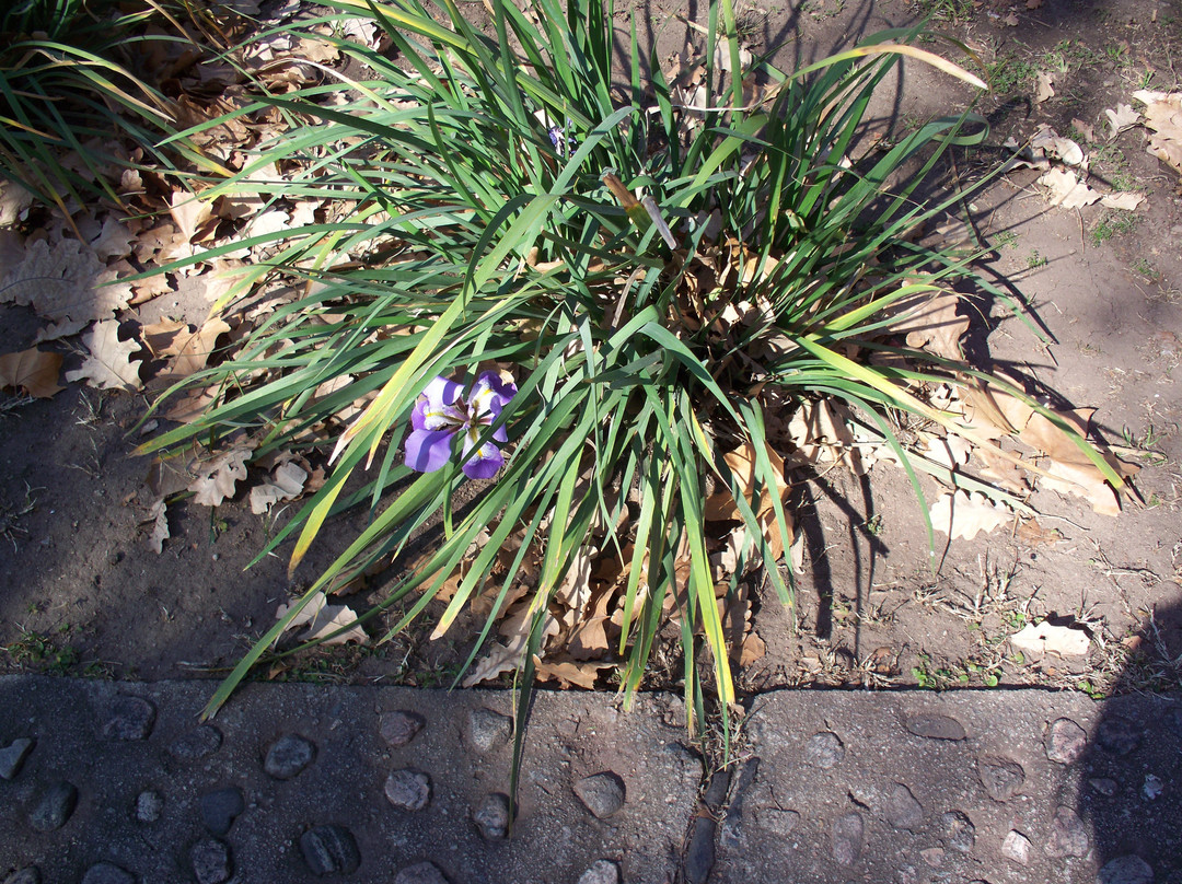 Hotel Colonia Estancia Ascochinga Golf主图