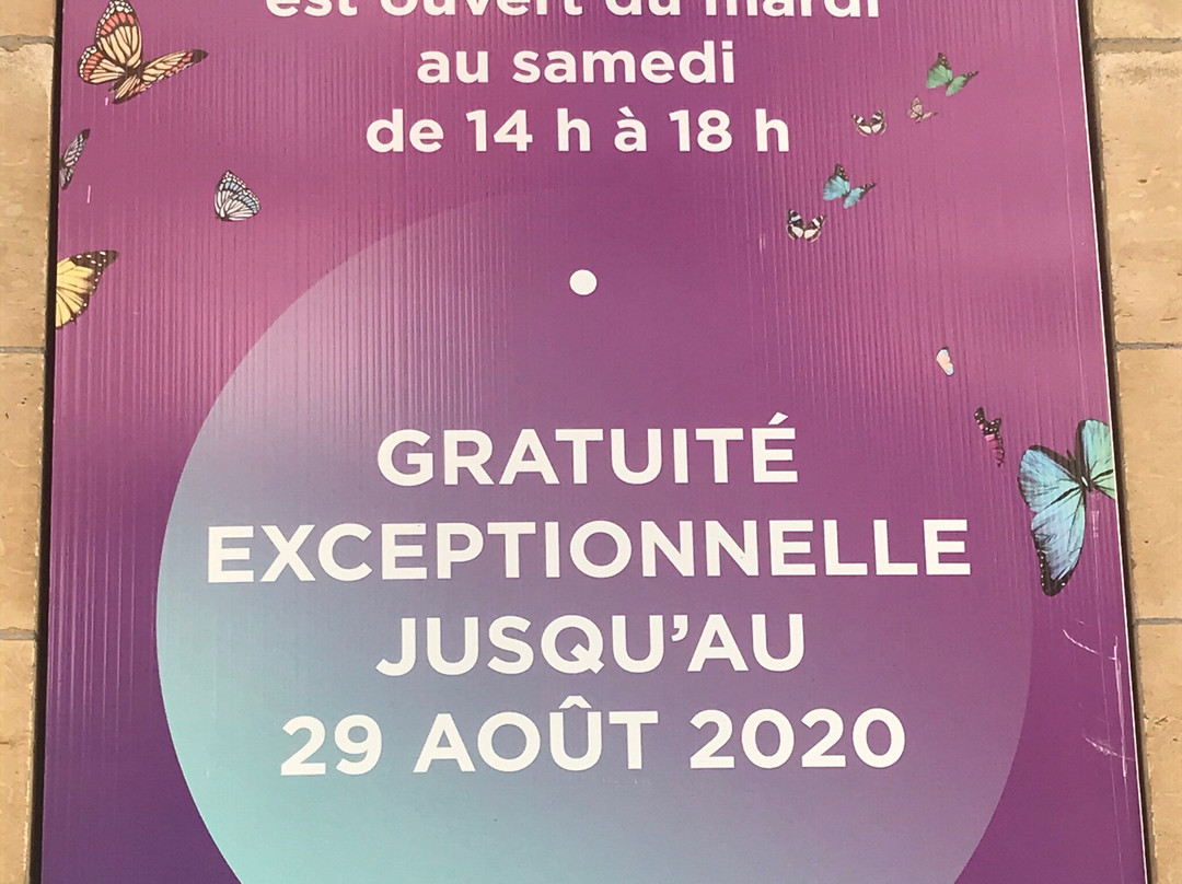 Musée des Papillons景点图片