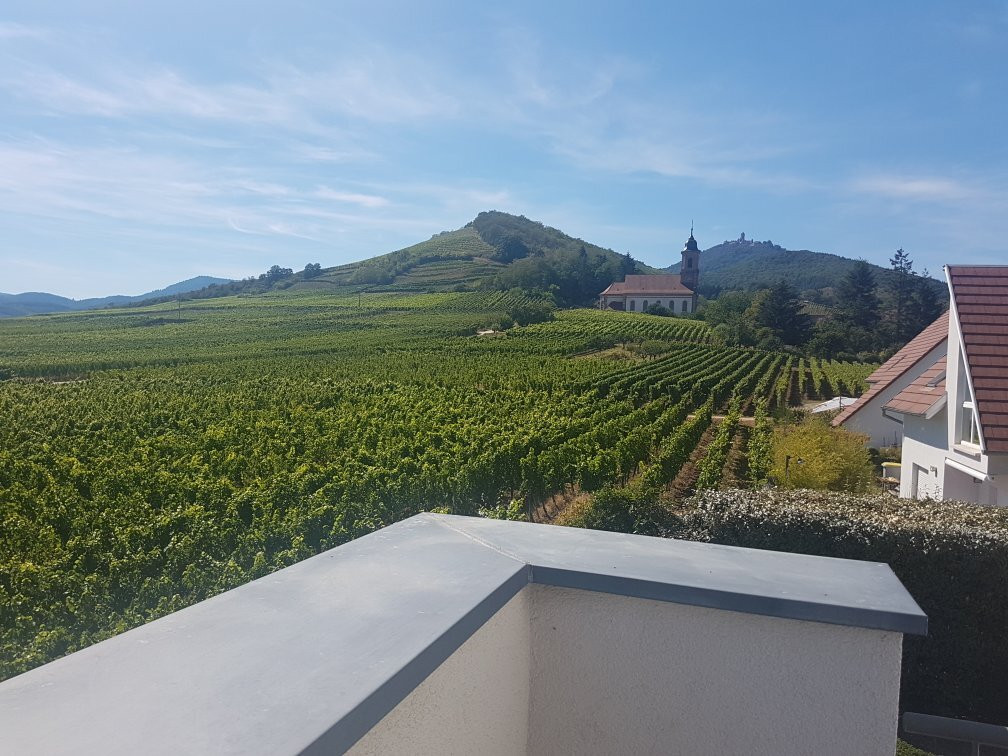 Au Coeur du Vignoble主图