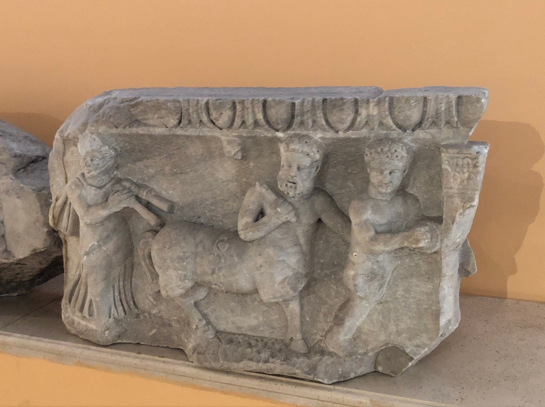 Izmir Museum of History and Art景点图片