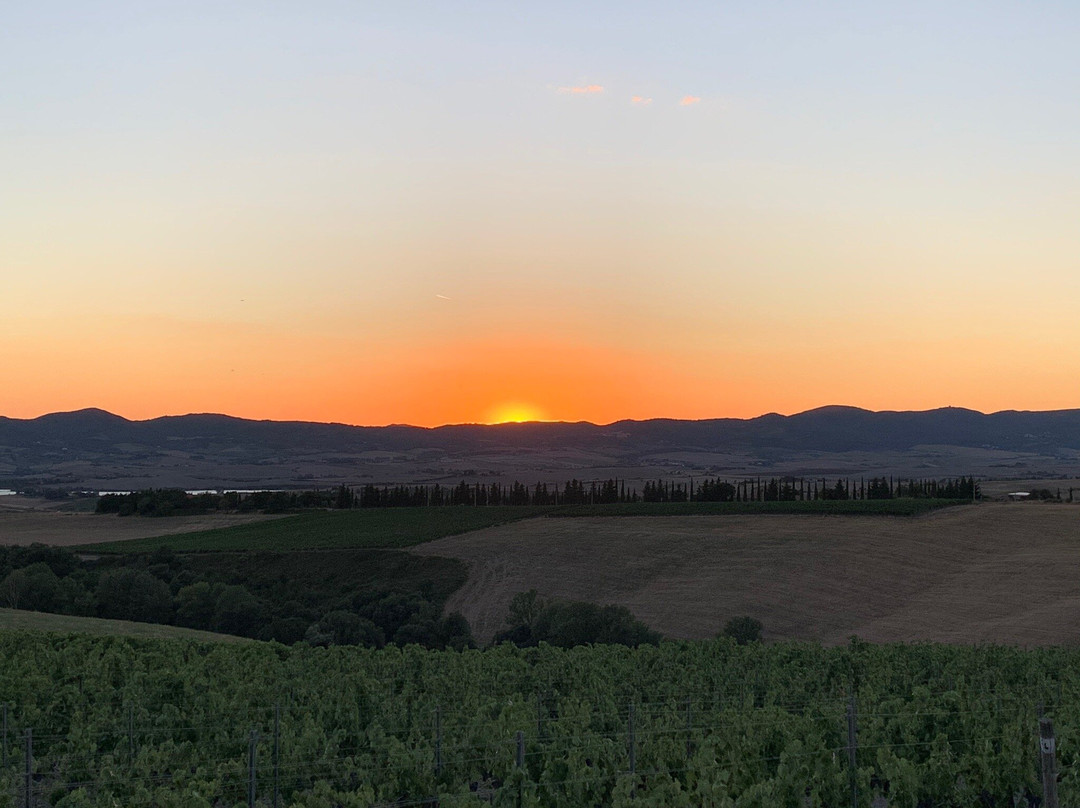 Gianni Moscardini Winery景点图片