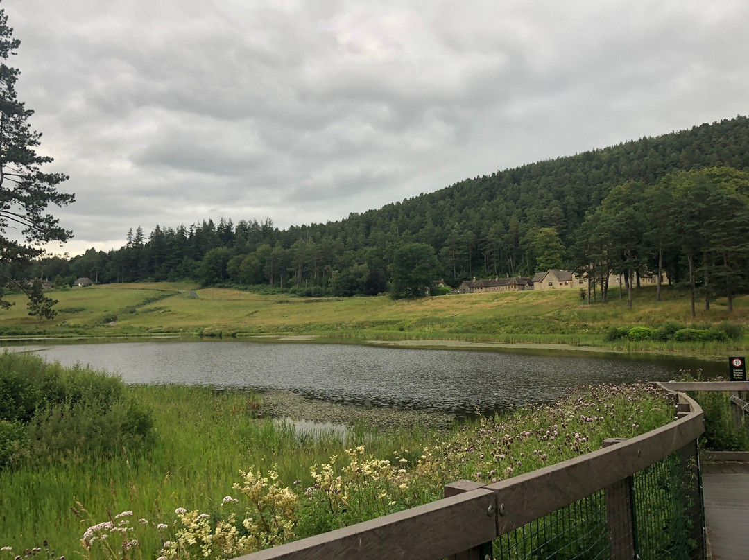 Rothbury Riverside Walk景点图片