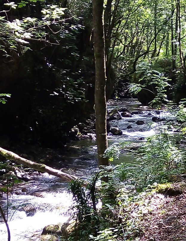 Valle dell'Argentino景点图片