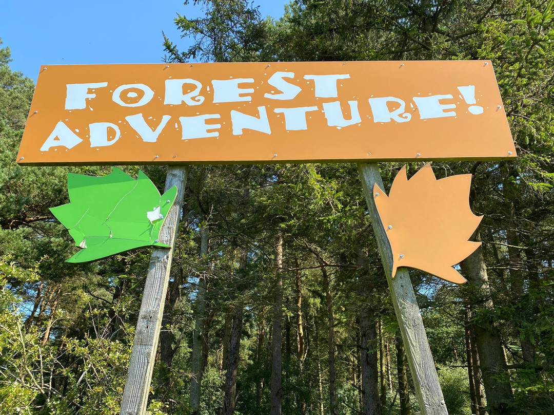 Broom House Farm Forest Adventure-Witton Gilbert必去景点