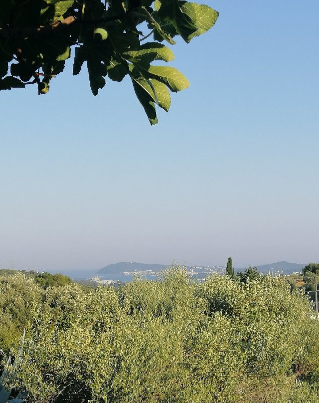 Villa Les Terrasses Sur Mer主图