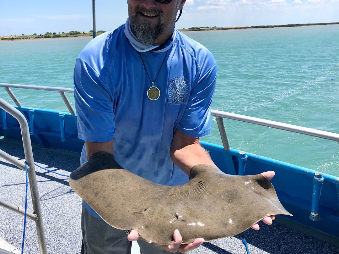Osprey Cruises-Port Isabel必去景点