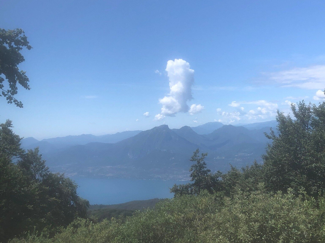 Happy Owl Tracks-维罗纳必去景点