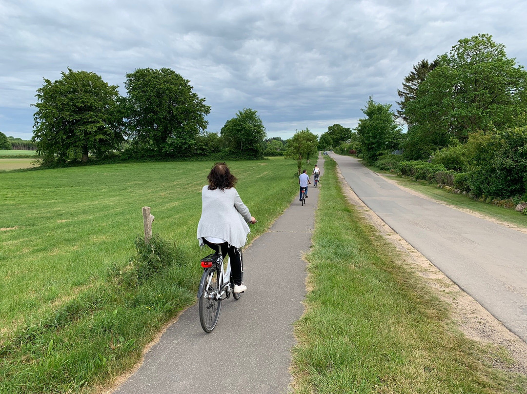 Herrenhaus Borghorst主图