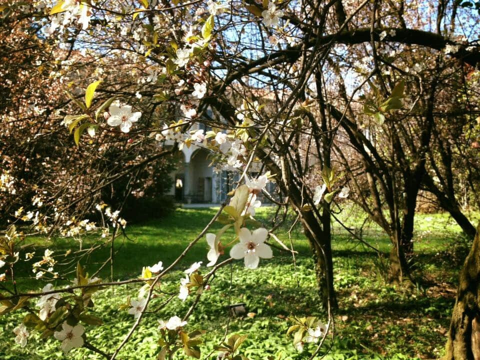 Palazzo Bassi Brugnatelli-Robbiate必去景点