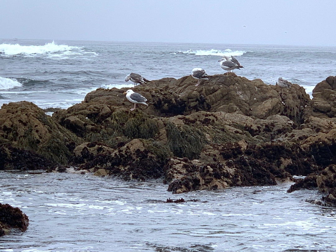 Pacific Gardens Inn主图