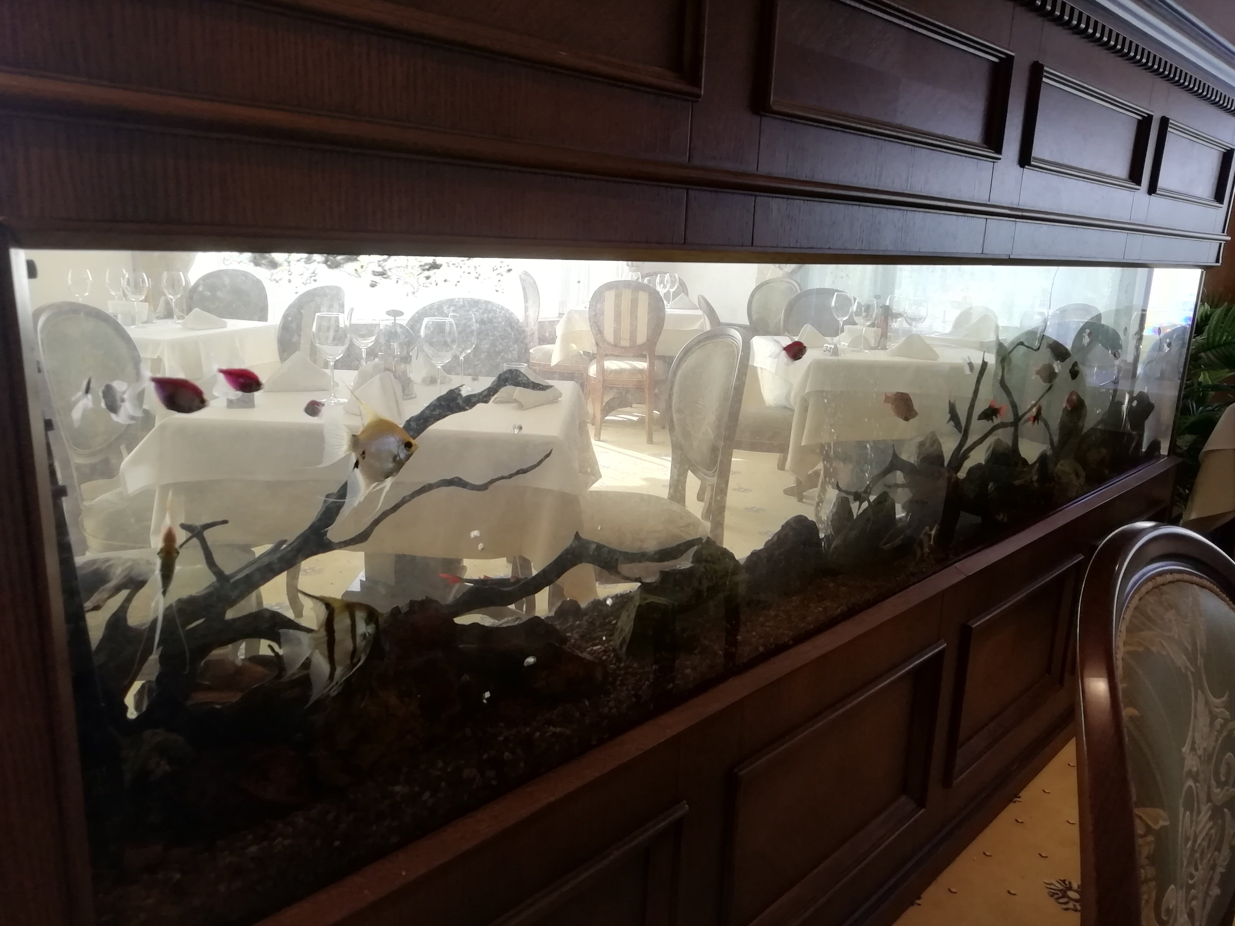 Park Hotel and SPA Vella Hills-浴室