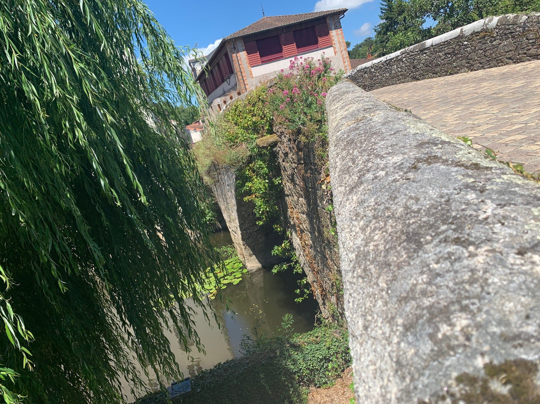 Pont Saint-Antoine景点图片