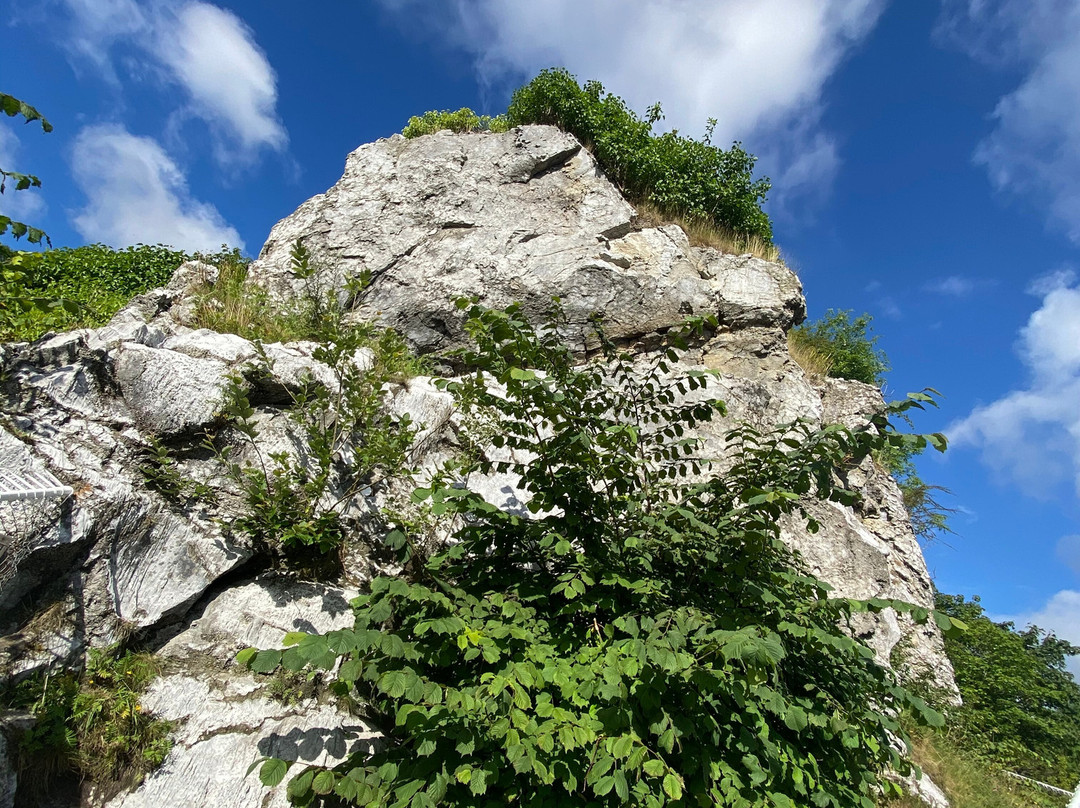 Segeberger Kalkberghöhle-Bad Segeberg必去景点