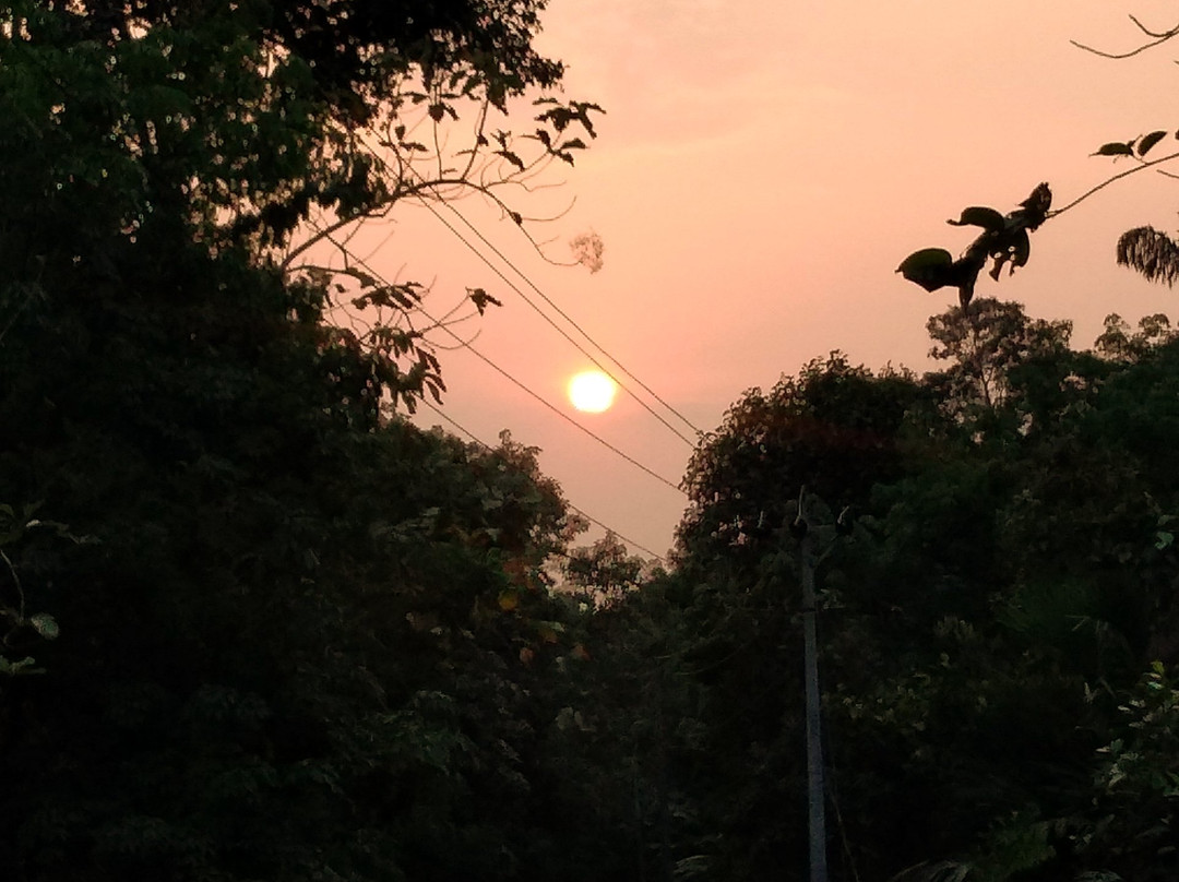 Kottayam Kayaking景点图片