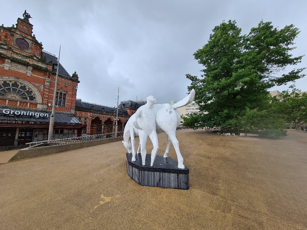 'Peerd van Ome Loeks'-格罗宁根省必去景点