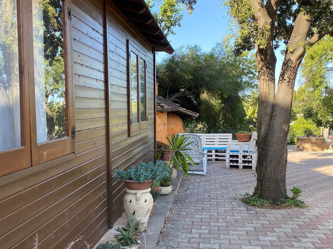 B&B Il Girasole主图