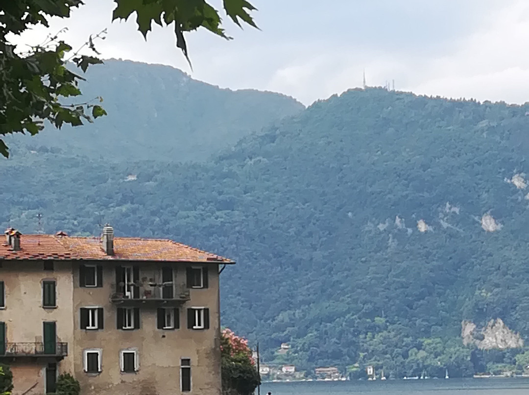 Le Ortensie Due主图