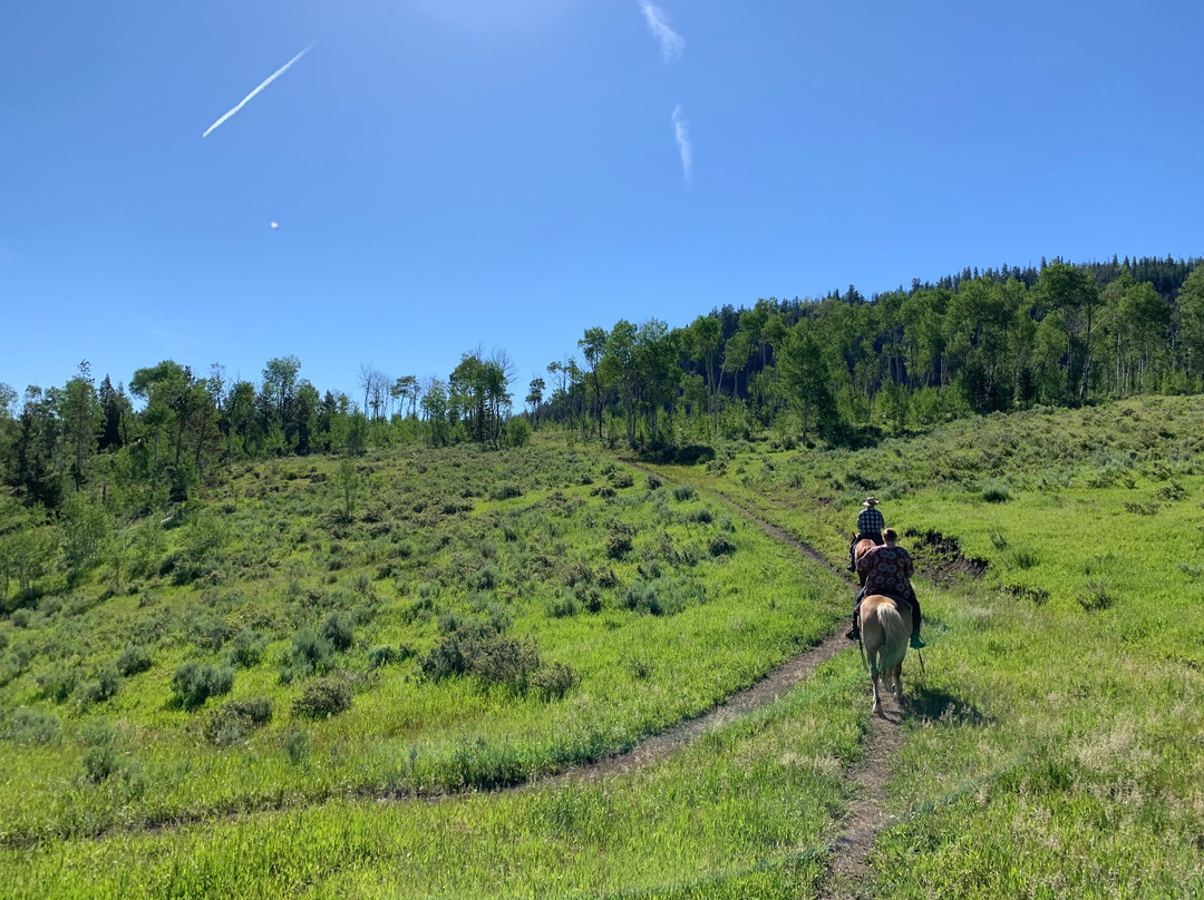 High Country Trails景点图片