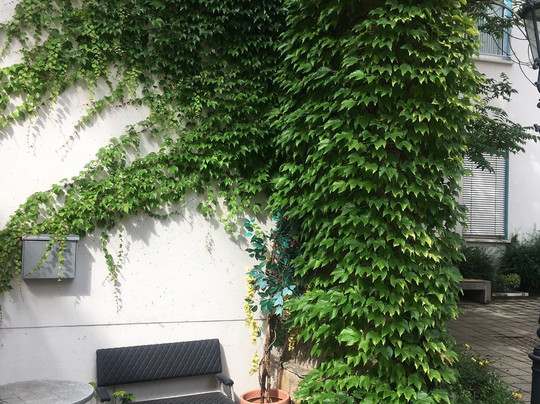 Kunsthaus Dresden-德累斯顿必去景点