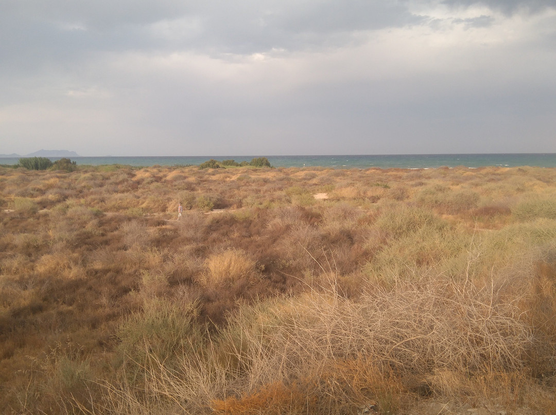 Playa De Perros Campello-El Campello必去景点