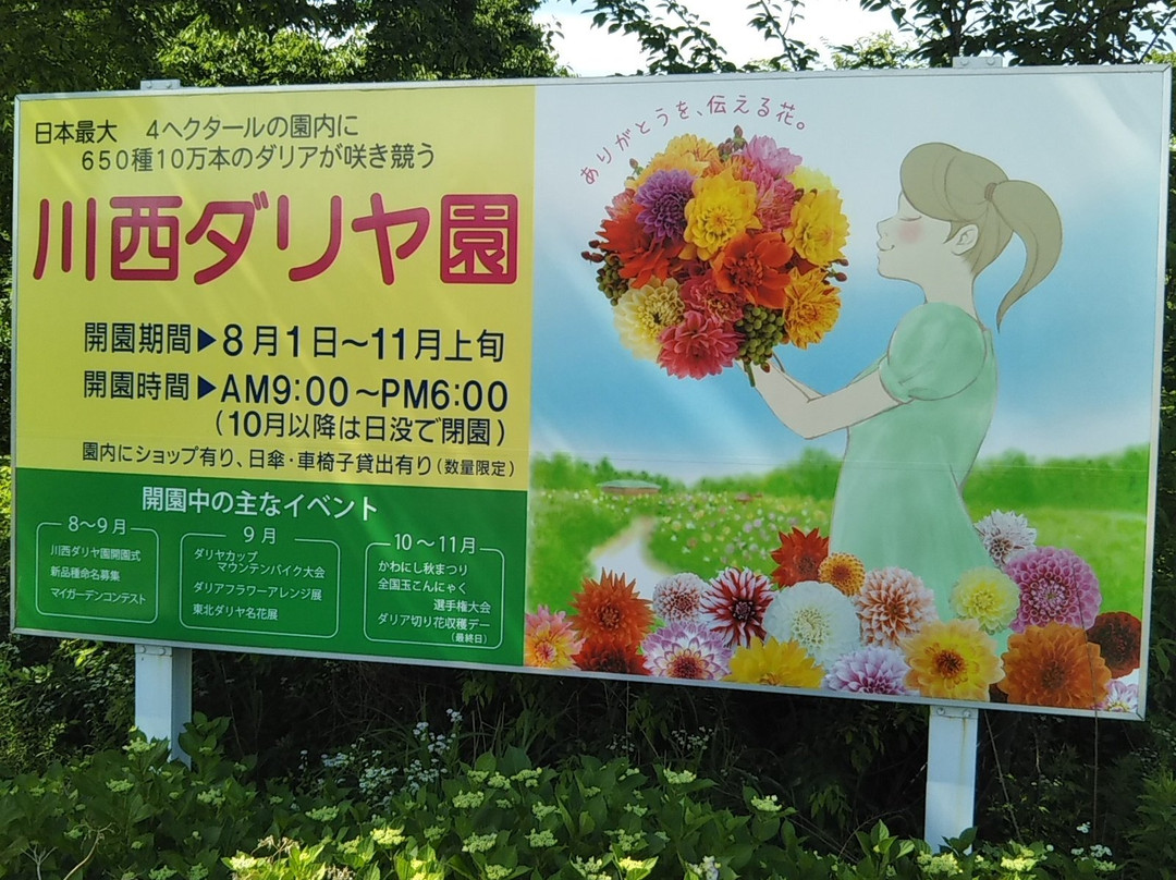 Yamagata Kawanishi Dariya Garden景点图片