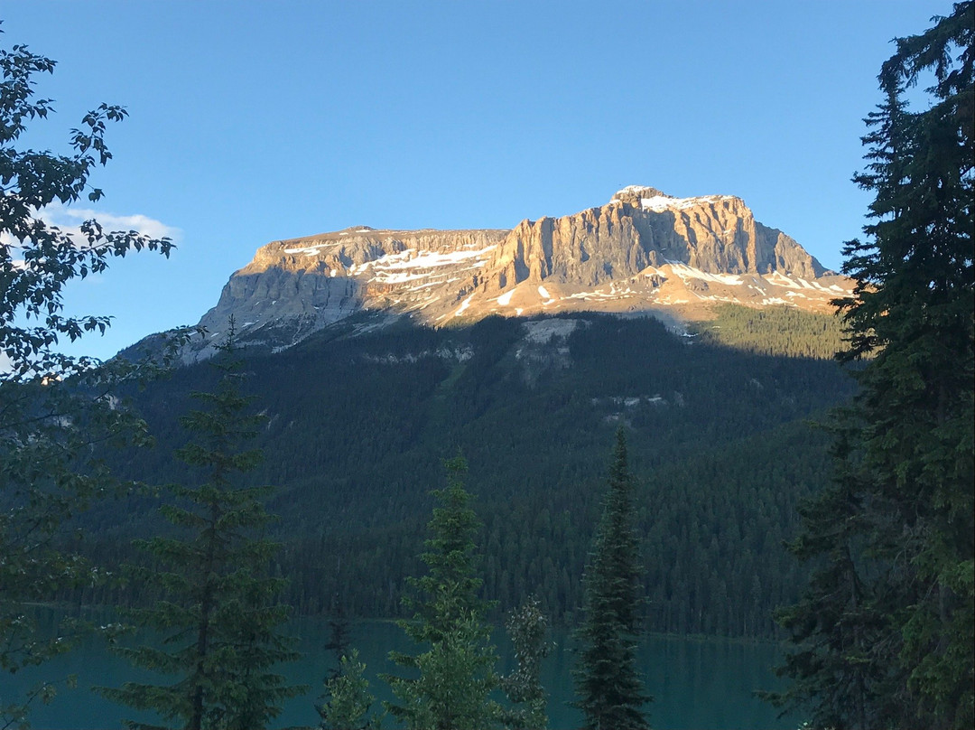 悠活小屋酒店主图