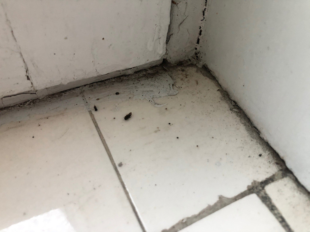 Hanover House Bed & Breakfast主图