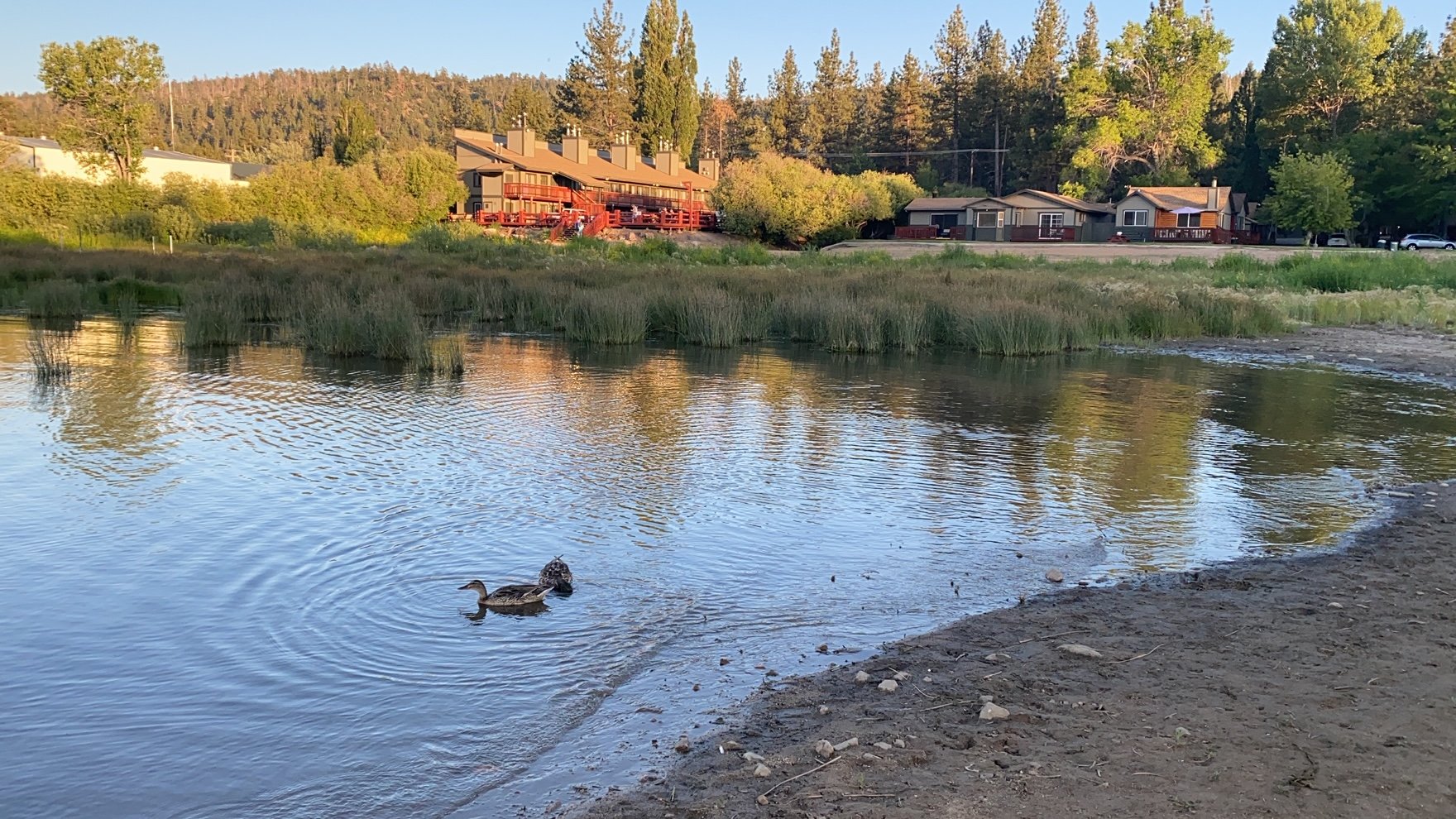 大贝尔弗兰提尔酒店-浴室