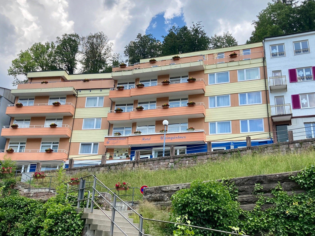 Hotel Weingaertner主图