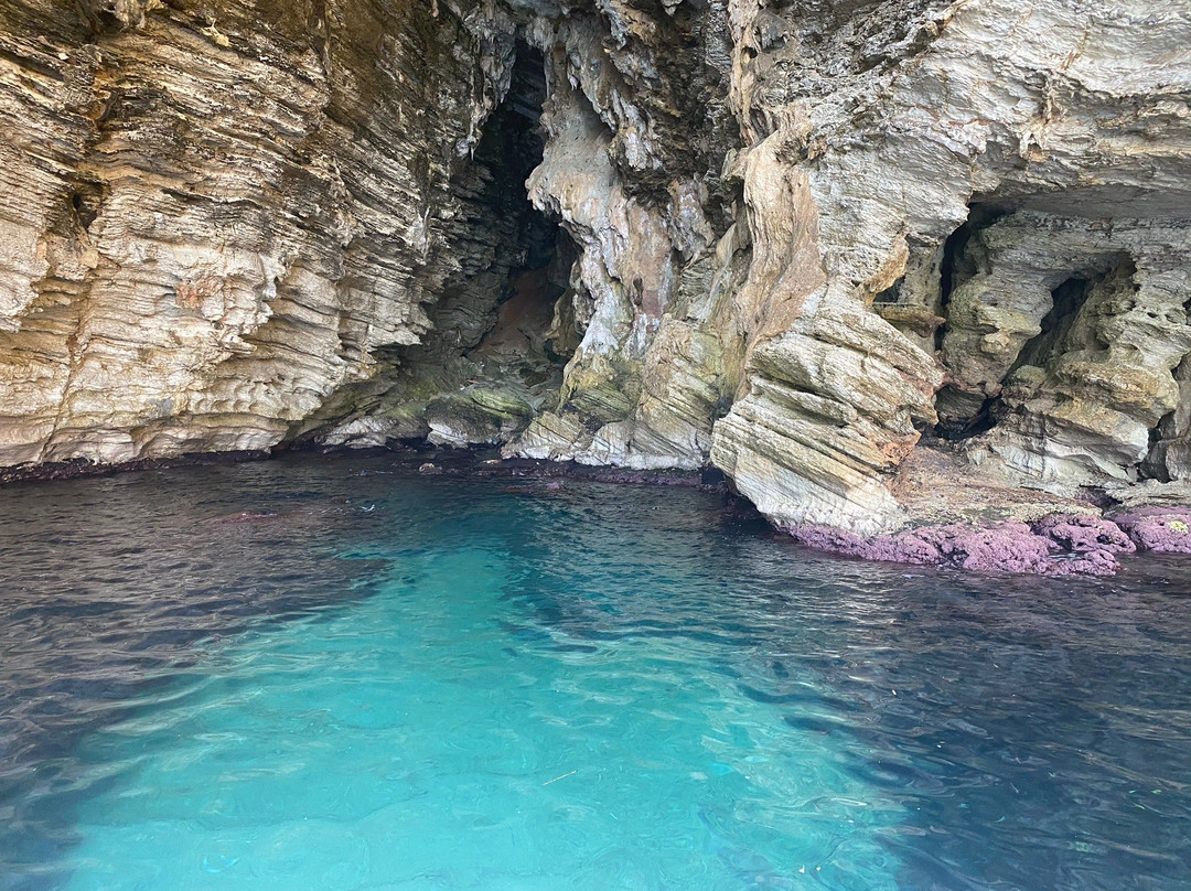 Cetaria Diving Center-Scopello必去景点