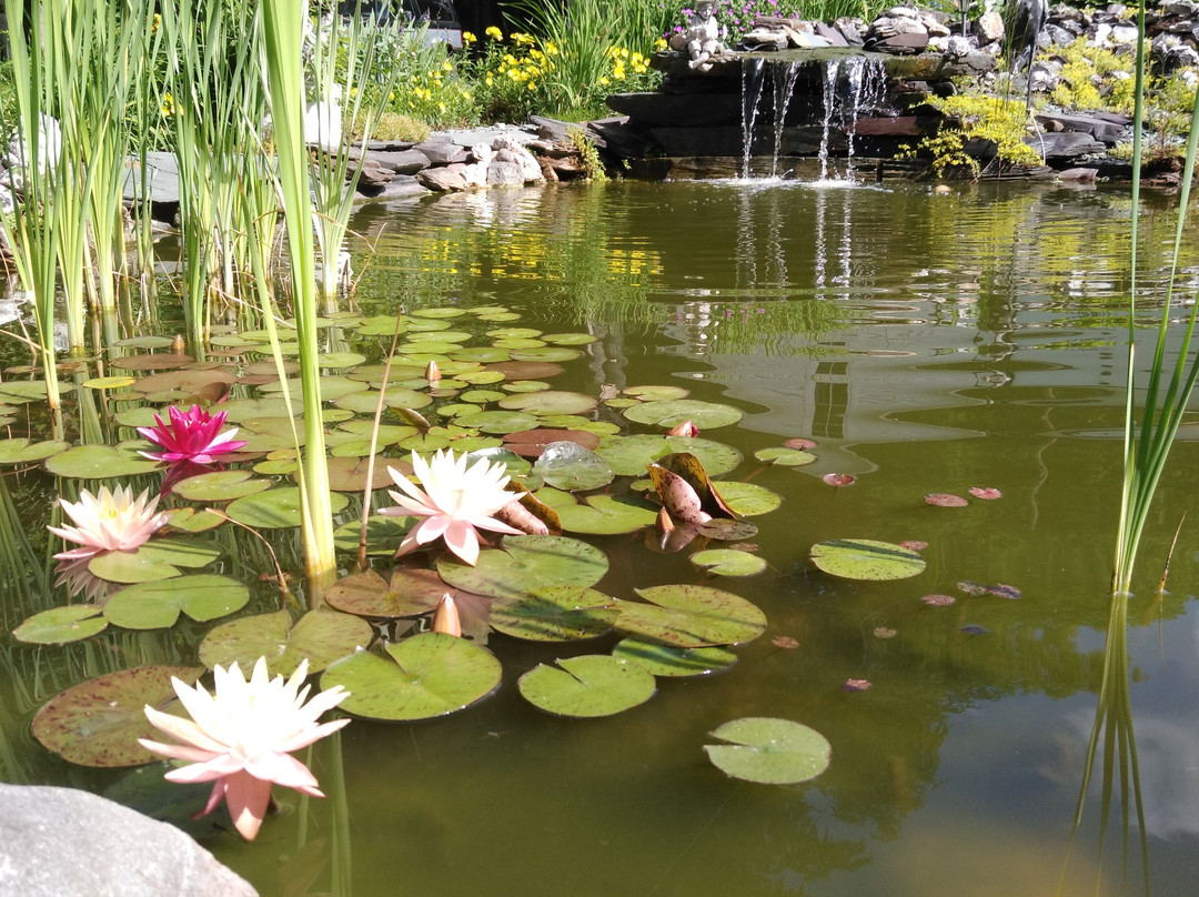 Haven Guest House Bed & Breakfast主图