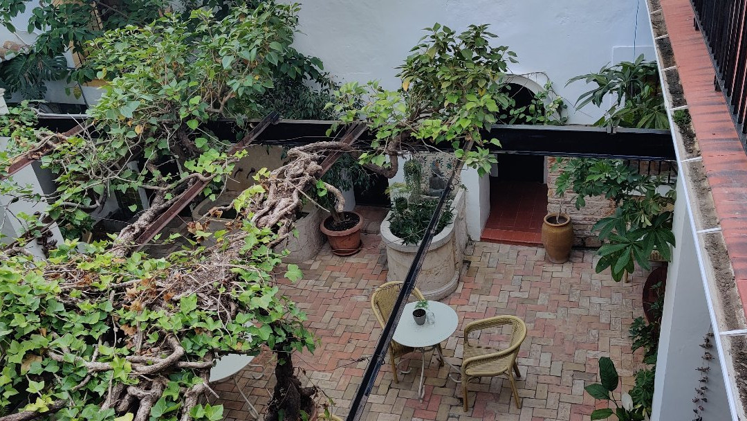 德尼亚酒店住宿-Art Boutique Hotel Chamarel