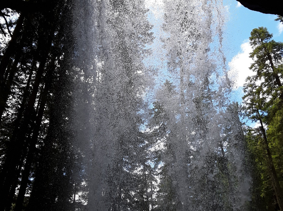 Grotto Falls景点图片