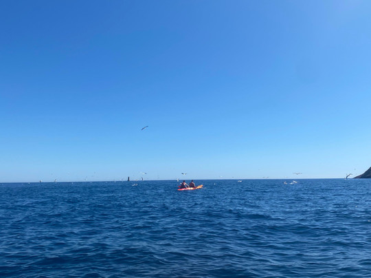 ExpéNature-拉西奥塔必去景点