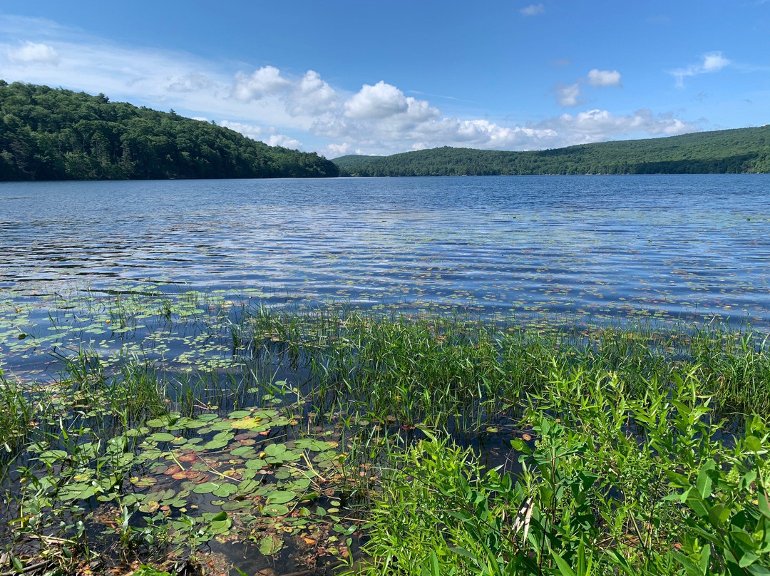 Sterling Forest State Park景点图片