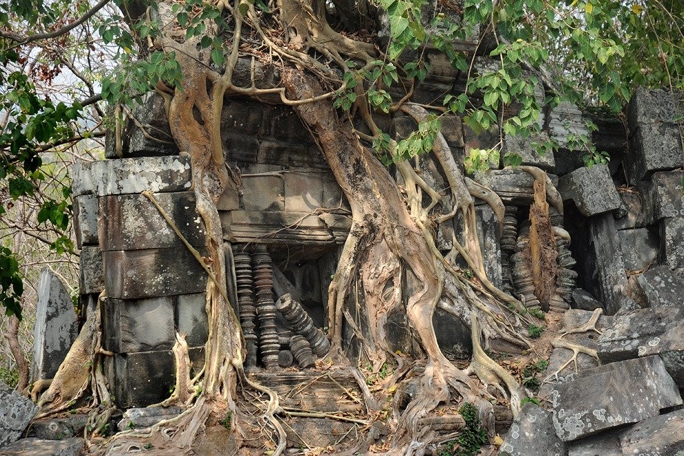 Angkor-Travel Tours景点图片