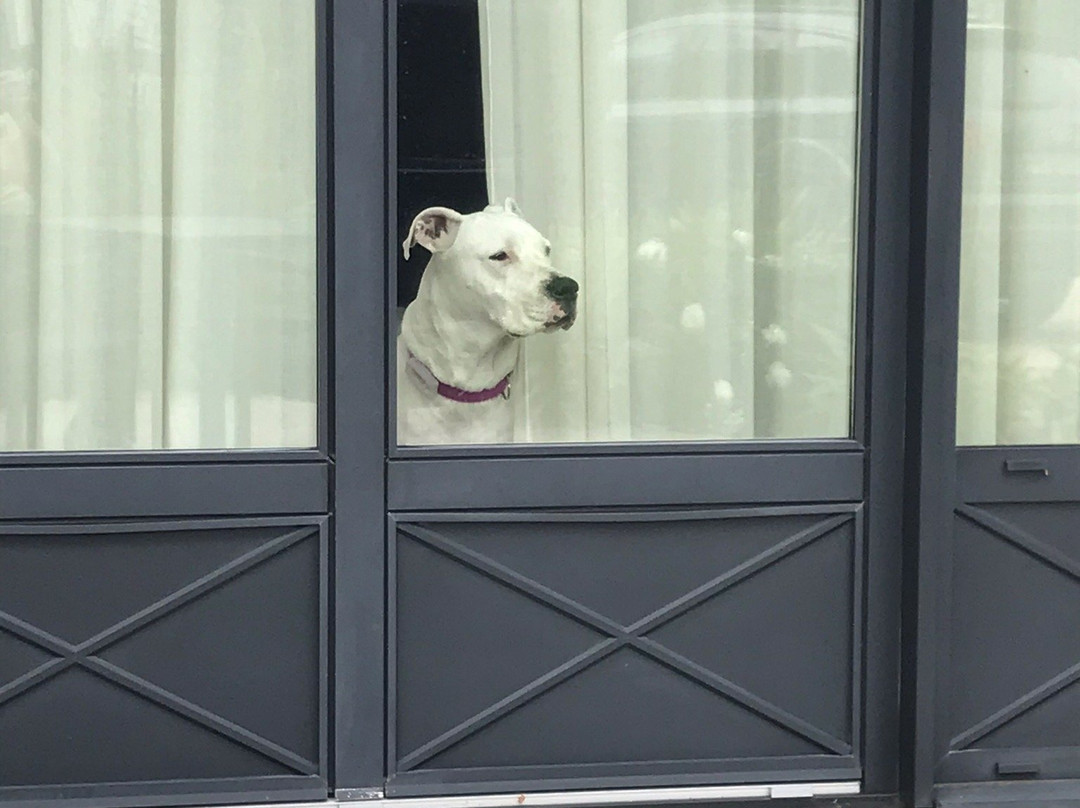 Manoir de Kergrec'h主图