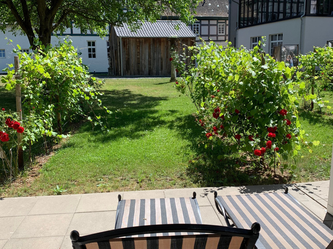 BollAnts Spa Im Park主图