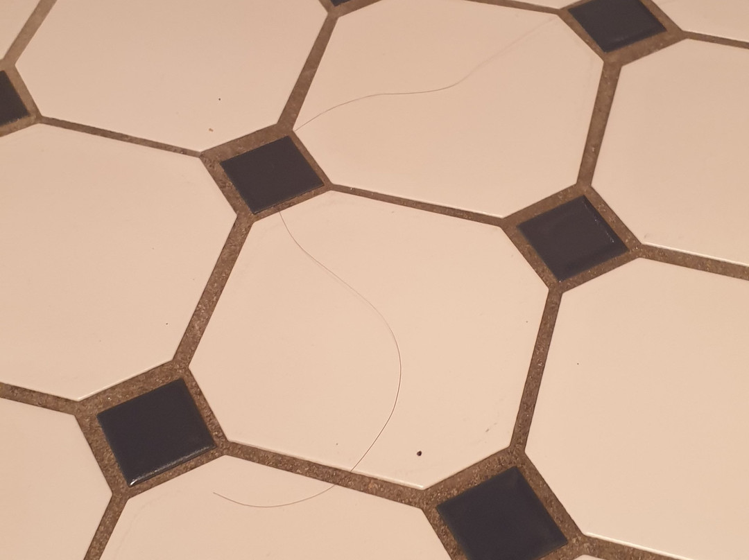 Squid's Ink Hotel主图