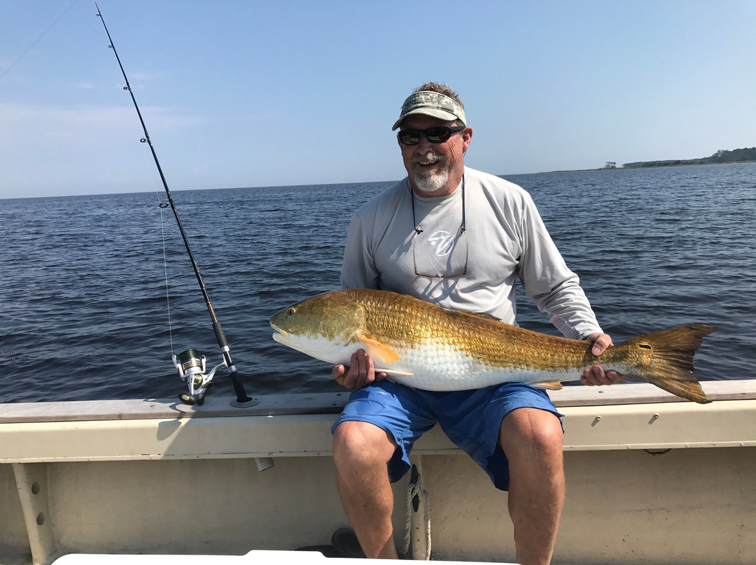 River Neuse Suites主图